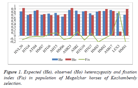 biomedres-Mugalzhar-horses