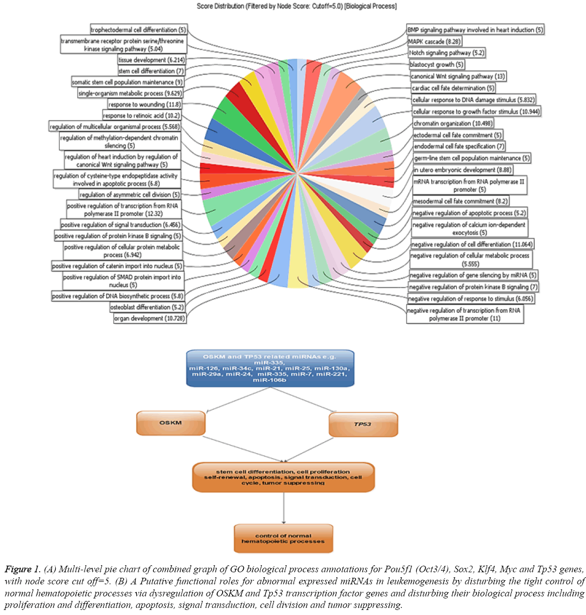 biomedres-Multi-level-pie-chart