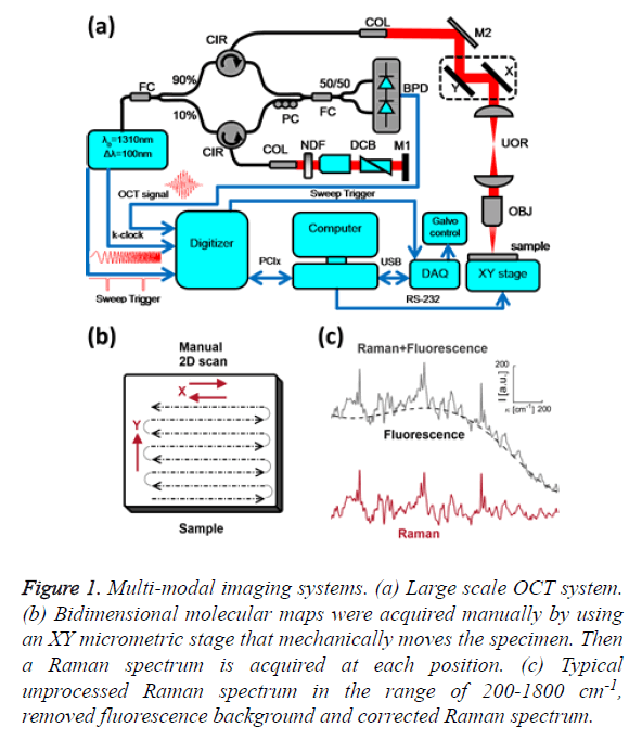 biomedres-Multi-modal-imaging