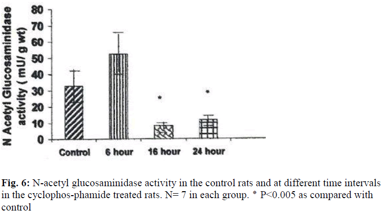 biomedres-N-acetyl-glucosaminidase-activity