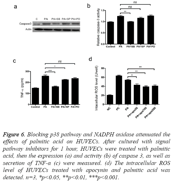 biomedres-NADPH-oxidase-attenuated