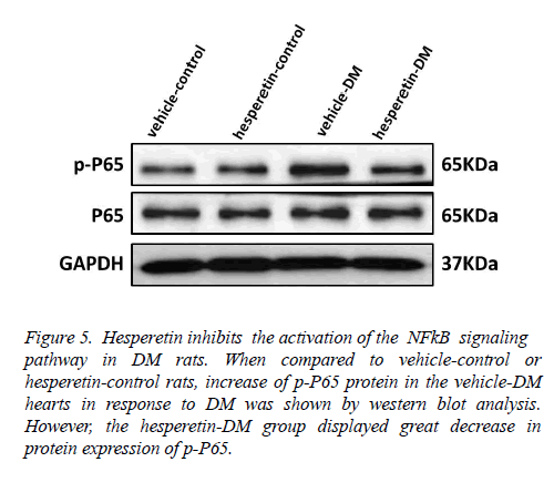 biomedres-NFkB-signaling