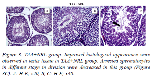 biomedres-NRL-group