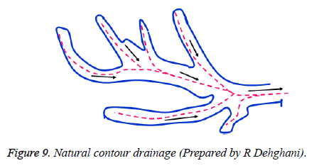 biomedres-Natural-contour