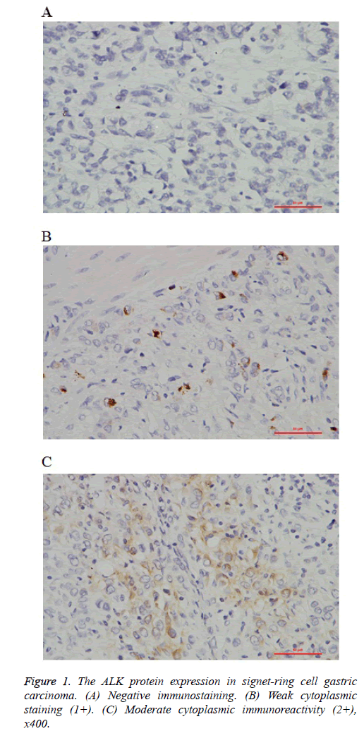 biomedres-Negative-immunostaining