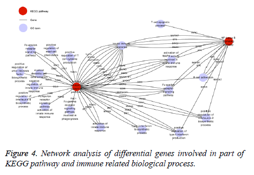 biomedres-Network-analysis