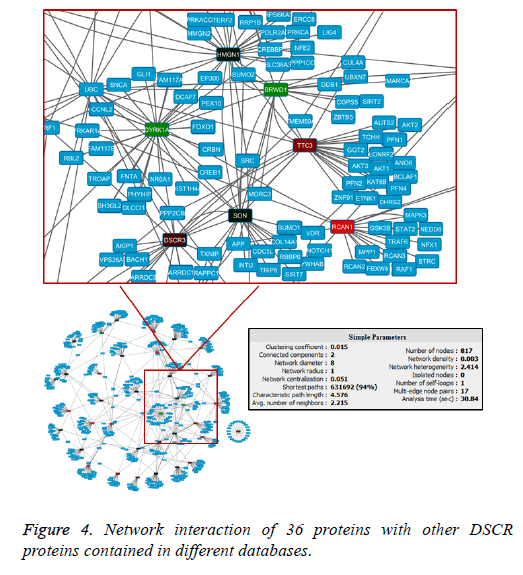 biomedres-Network-interaction