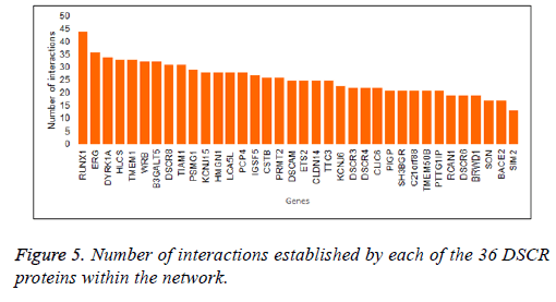 biomedres-Network-interaction