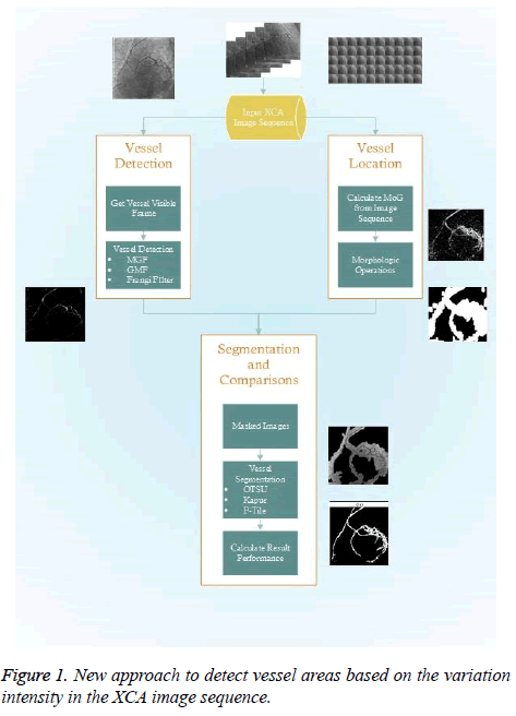 biomedres-New-approach