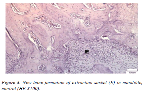 biomedres-New-formation