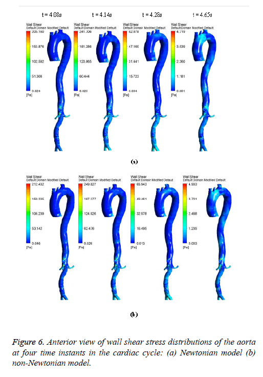 biomedres-Newtonian-model