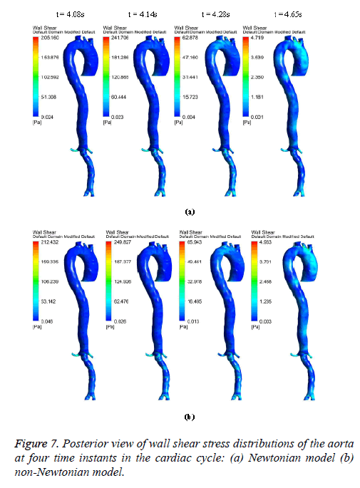 biomedres-Newtonian-model