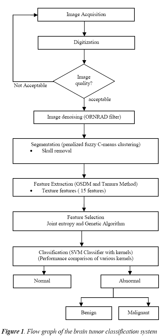 biomedres-Noisy-input-image-denoised