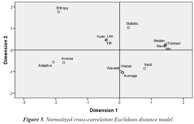 biomedres-Normalized-cross-correlation