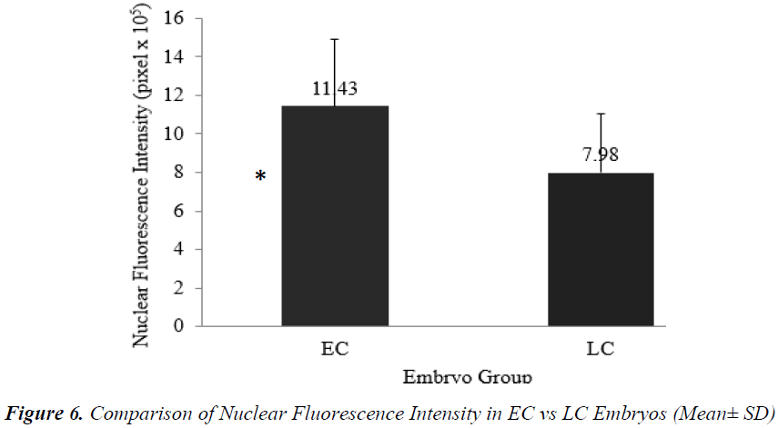 biomedres-Nuclear-Fluorescence-Intensity