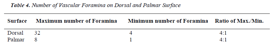 biomedres-Number-Vascular-Foramina-Dorsal