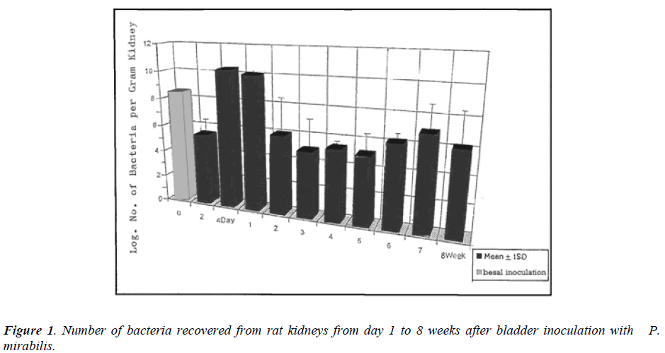 biomedres-Number-bacteria-recovered