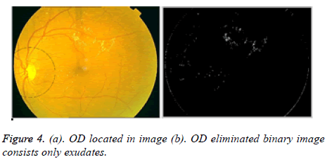 biomedres-OD-eliminated-binary