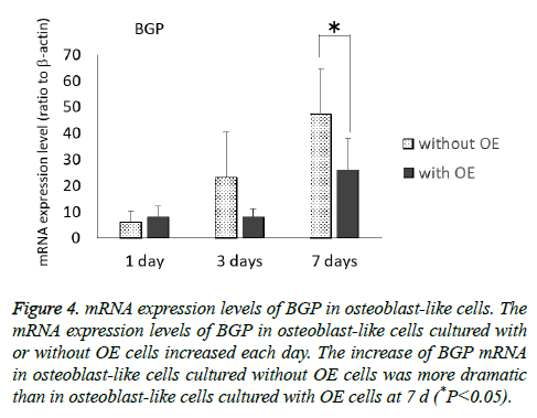 biomedres-OE-cells