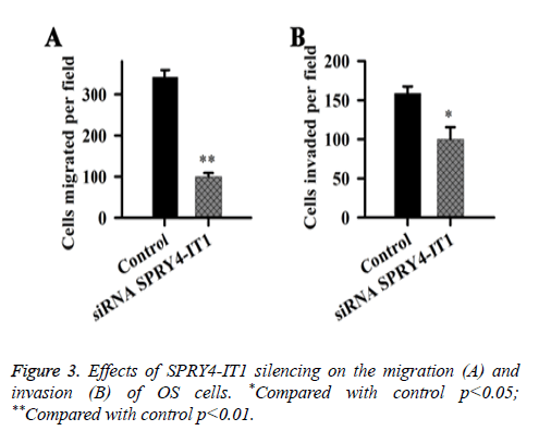 biomedres-OS-cells