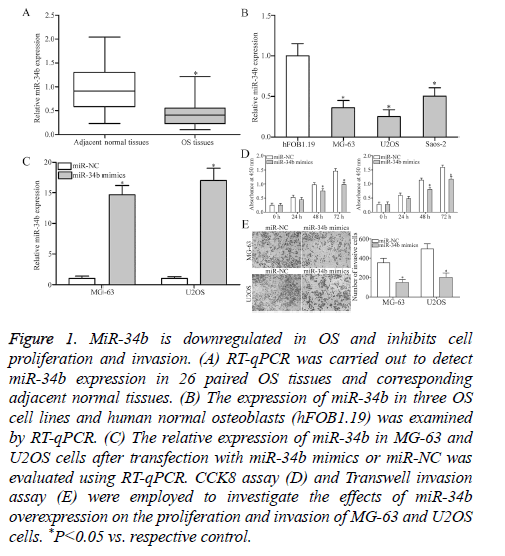 biomedres-OS-tissues