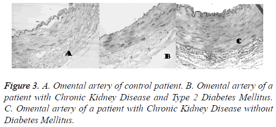 biomedres-Omental-artery-control