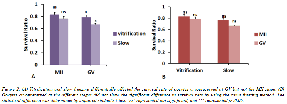 biomedres-Oocytes-cryopreserved