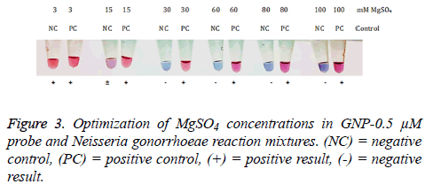 biomedres-Optimization