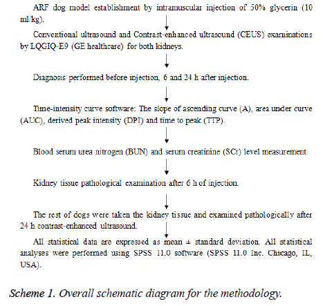 biomedres-Overall-schematic