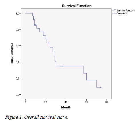 biomedres-Overall-survival