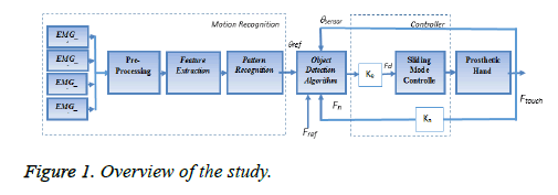 biomedres-Overview-study