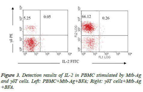 biomedres-PBMC-stimulated