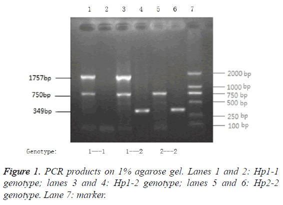 biomedres-PCR-products