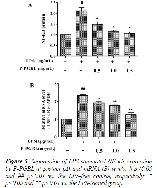 biomedres-PGBL-protein