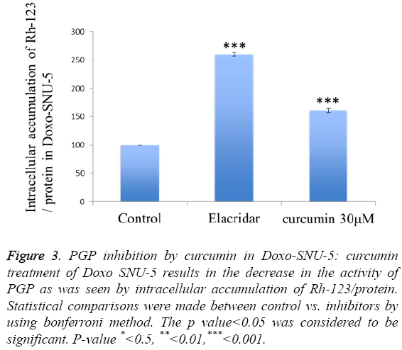 biomedres-PGP-inhibition-curcumin