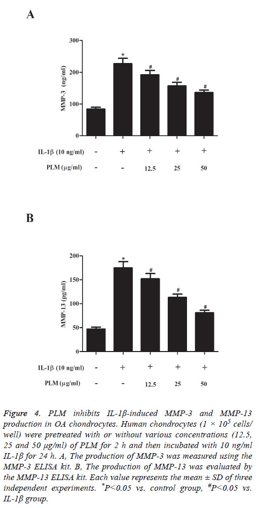 biomedres-PLM-inhibits