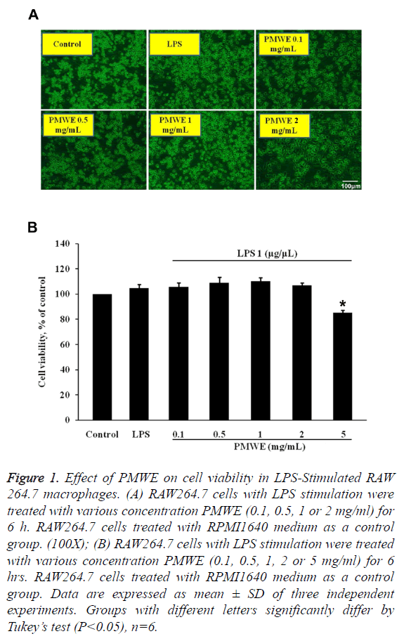 biomedres-PMWE-cell-viability