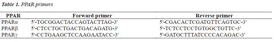 biomedres-PPAR-primers