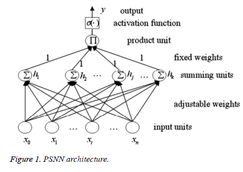 biomedres-PSNN-architecture