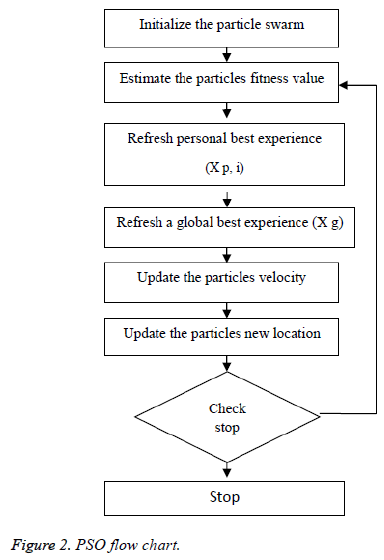 biomedres-PSO-flow