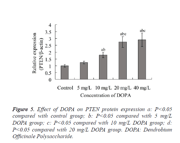 biomedres-PTEN-protein