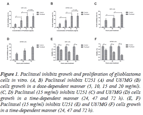 biomedres-Paclitaxel-inhibits