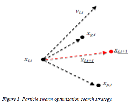 biomedres-Particle-swarm
