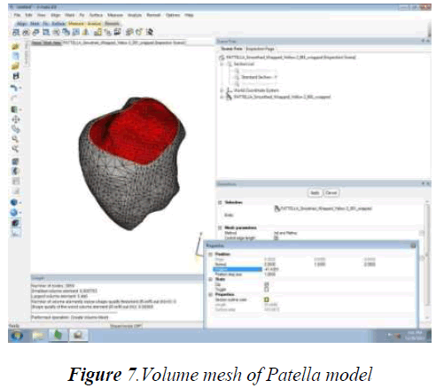 biomedres-Patella-model