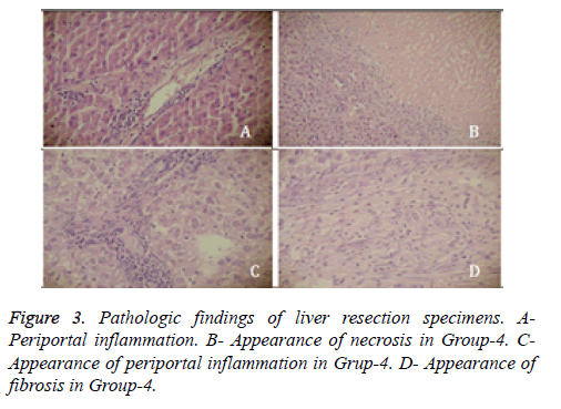 biomedres-Pathologic-findings