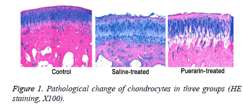 biomedres-Pathological-change