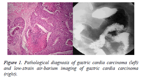 biomedres-Pathological-diagnosis