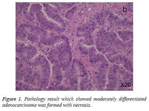 biomedres-Pathology-result