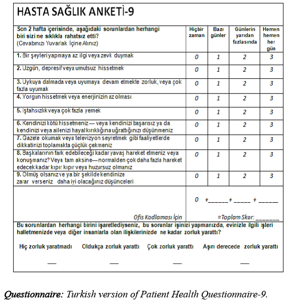 biomedres-Patient-Health-Questionnaire