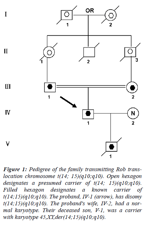 biomedres-Pedigree-family-transmitting